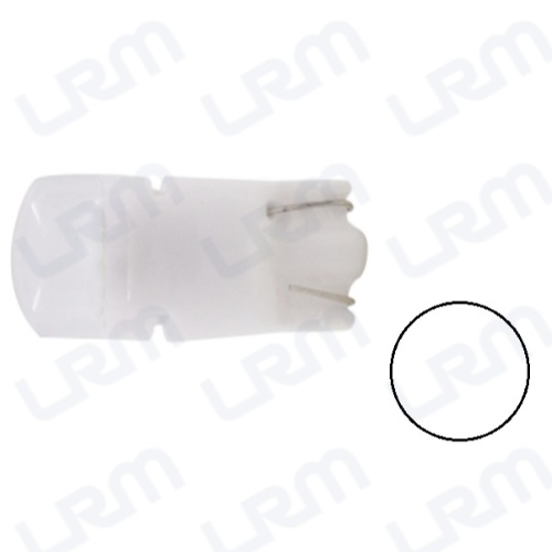 T10 2 Led Frost