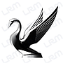 Cisne Capo KTC